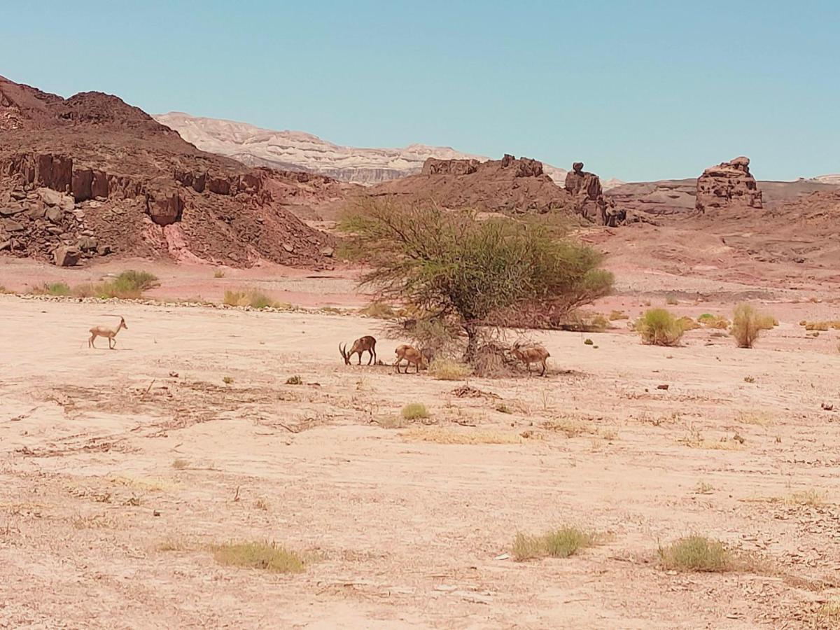 Desert Path Be'er Ora Bagian luar foto